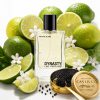 DYNASTY EDP