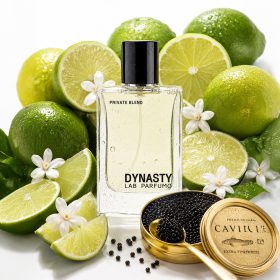 DYNASTY EDP