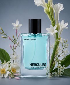 HERCULES EDP
