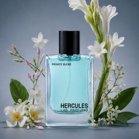 HERCULES EDP