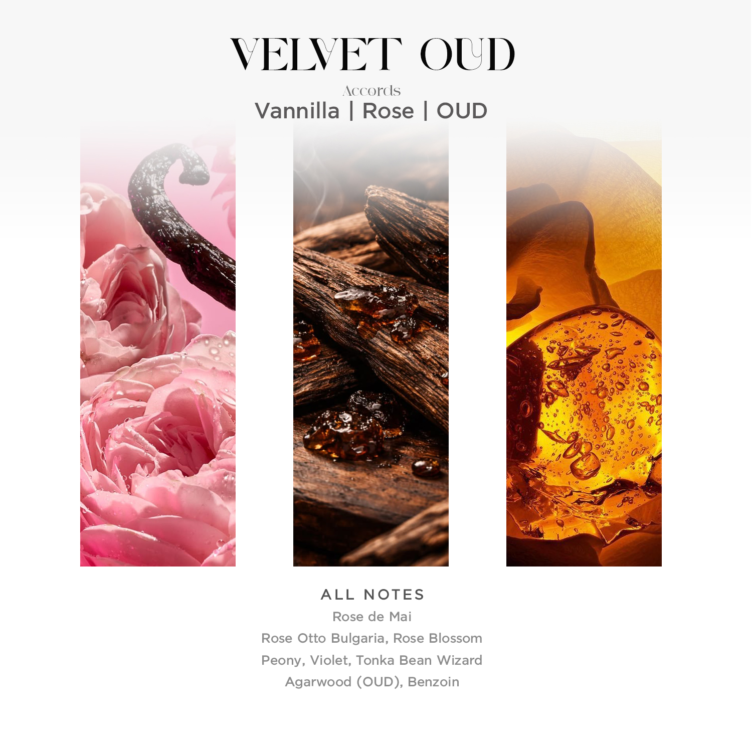 VELVET OUD EDP - Image 4